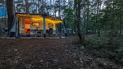 Pole Biwakowe Kuźnica Zbąska